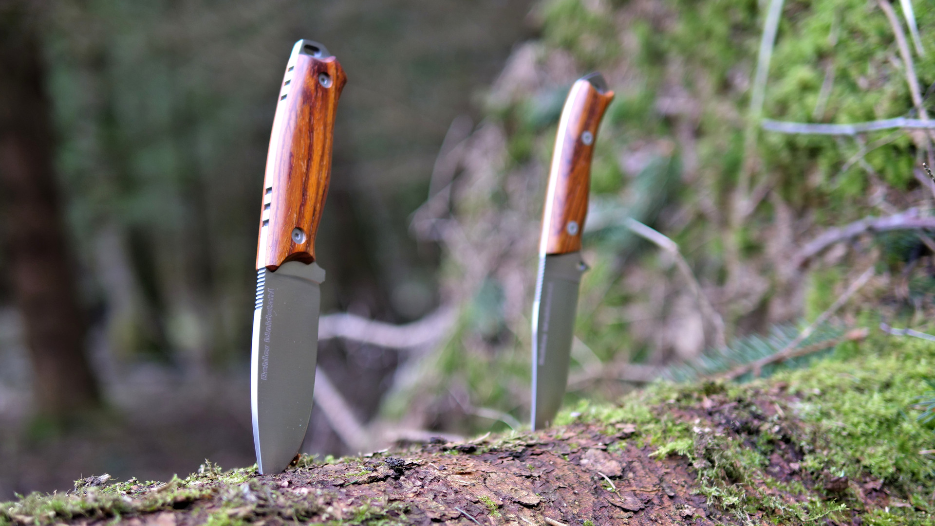 Messer Verkaufsladen -Messer Verkaufsladen Kat Feststehende Messer